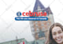 professionally translate spanish, english, portuguese