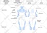 make design sheet and clothing and apparel mockups
