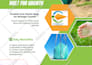 design flyers, bifold, trifold brochures in canva, photoshop