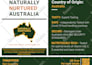 design company brochure, print item by indesign and affinity