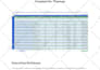 audit your shopify, online store, or lead gen site for sales conversions growth