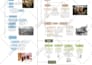 create colorful  mind or concept map within 24 hours