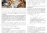 do SEO article writing for you