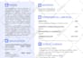 create a professional resume or cv in english or spanish