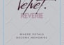 vector redraw l vector artwork conversion services