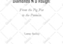 do any affinity publisher project