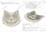 make a 3d cad model, 2d technical drawings and renders