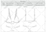 make fashion illustration tech pack and size chart