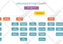 create professional org charts or organizational structure