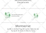 do minimalist line art botanical logo design with branding kit