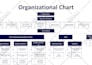 design an editable organization chart, organogram, flowchart