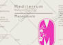 create contemporary packaging or label design