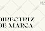create luxury minimal brand identity guidelines, brand book, and branding