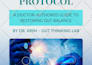 design  lead magnet, ebook, workbook and pdfs