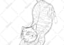 design a custom neo traditional or japanese style tattoo