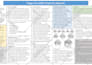 do a poster or presentation in ms office on any topic