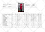 make professional sewing patterns with size grading and 3d using by the auto cad