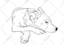 draw custom pet portrait in line art vector illustration