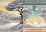book formatting and layout design for KDP paperback, kindle ebook formatting