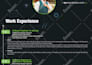 design a remarkable CV resume in infographic style under 48h