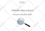 do website data analysis in google analytics
