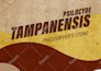 quick pro resizing for web and print