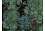 write dungeons and dragons 5e adventures and dnd campaigns
