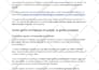 write SEO friendly articles according to clients needs