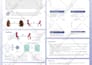 design medical, research, scientific, academic, conference posters, infographics