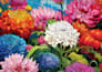 design a premium product catalogue, magazine layout, or brochure