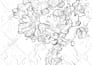create stunning vector illustrations for any purpose