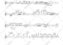 transcribe anything you want