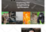 create or customize your wordpress site