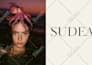 desing a stunning and creative photography portfolio