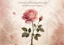 canva ebook design redesign journal design workbook design kdp book formatting