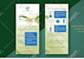 create business brochures for your company