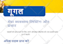 professionally do english to hindi translation