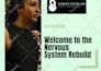 design PDF, welcome packet, ebook, workbook, and planner in canva
