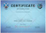 design executive, professional certificates