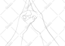 design minimal line illustrations