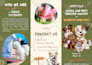 create professional restaurant menu design in 24 hours