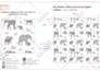 design print patterns on babies clothing sets