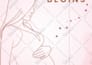 create prayer journal design, workbook design, planner design journal design