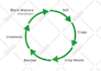 design infographics, flowcharts, and diagram
