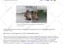 write and distribute your press release