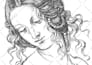 draw elegant vector line art illustration