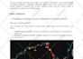 automate your tradingview strategy to any broker
