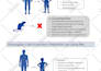 make scientific, medical illustrations, infographics, poster, graphical abstract