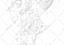 draw high quality vector line art illustrations of your product or image