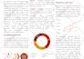 develop a professional grade business plan